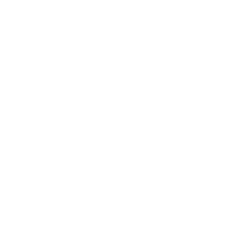 Github's logo